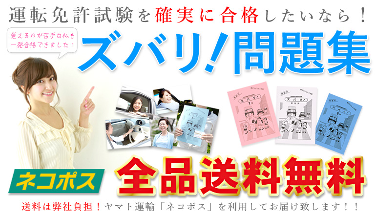 �^�]�Ƌ� ���W �p��A������ ���t�[�V���b�s���O�@�����L���O1�� ���������y�Y�o���I���W�z